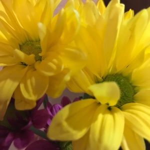 Meet your Posher, Acacia